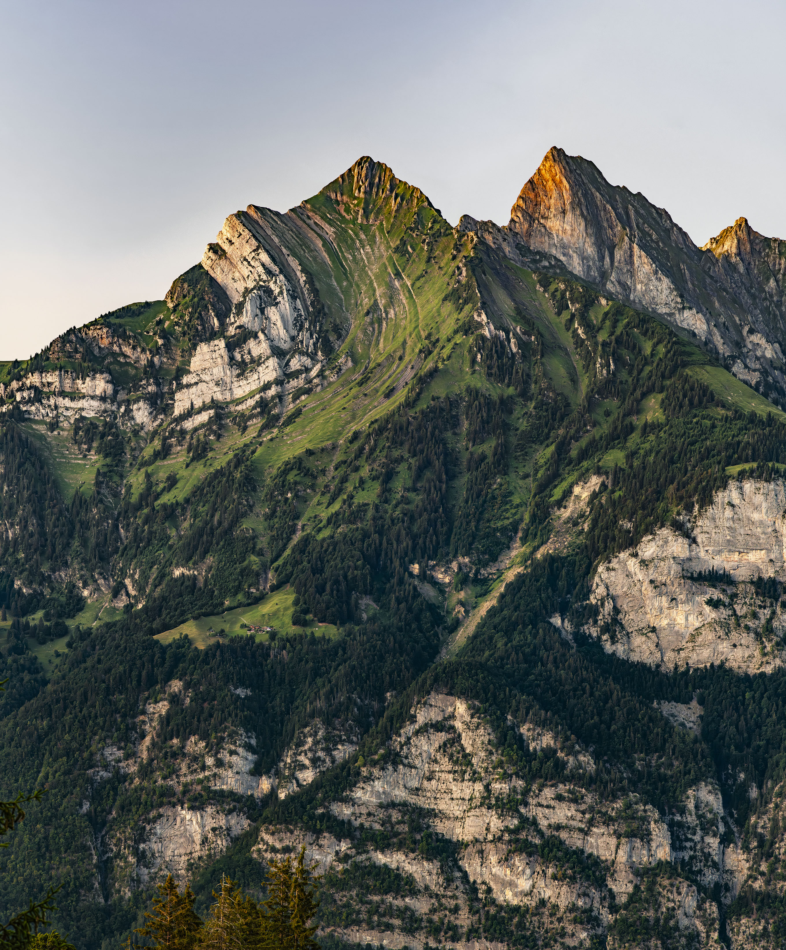gukas_paro_26_2258-64